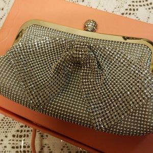 Beautiful evening bag NWOT